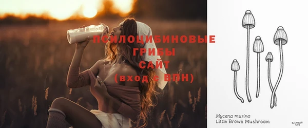 бошки Армянск