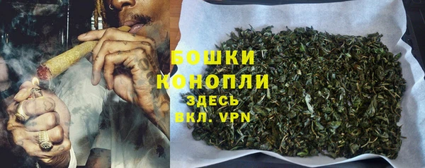 бошки Аркадак
