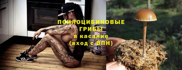 бошки Аркадак
