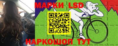 шишки Керчь