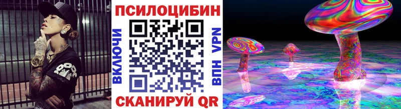 Псилоцибиновые грибы Psilocybine cubensis  Георгиевск 