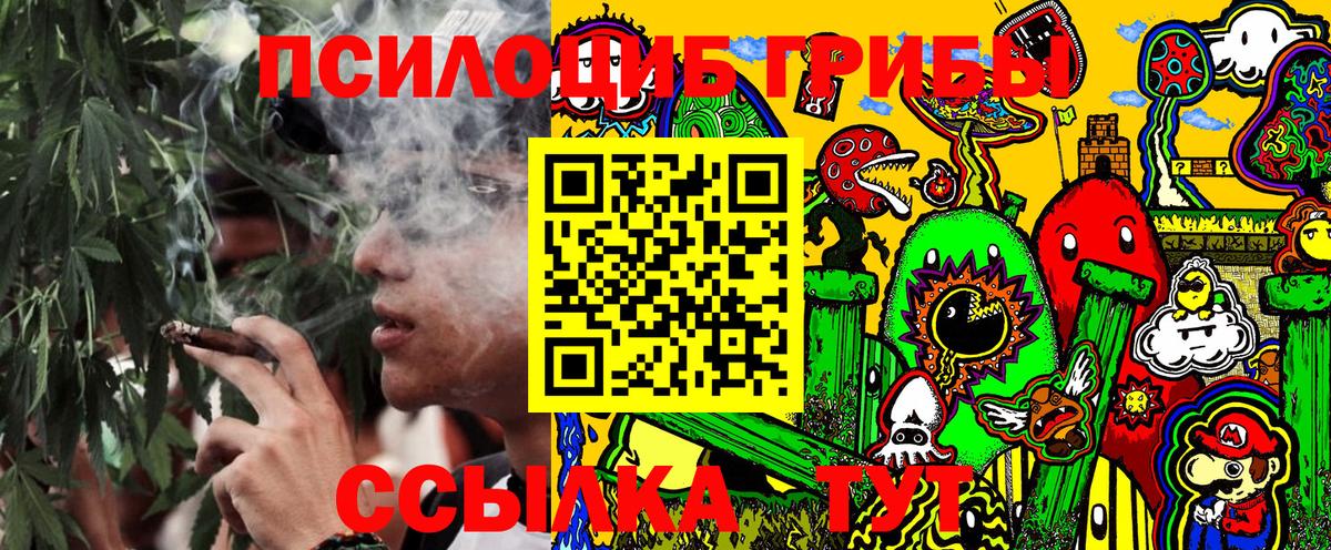 Галлюциногенные грибы Magic Shrooms Георгиевск