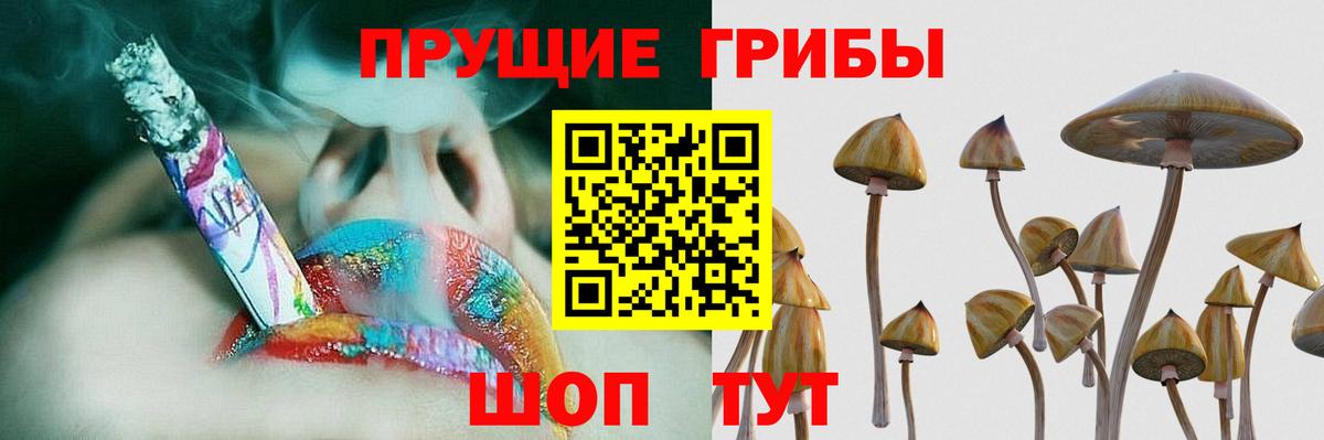 Галлюциногенные грибы Magic Shrooms  Псилоцибиновые грибы Psilocybine cubensis  Вход с VPN  Георгиевск 