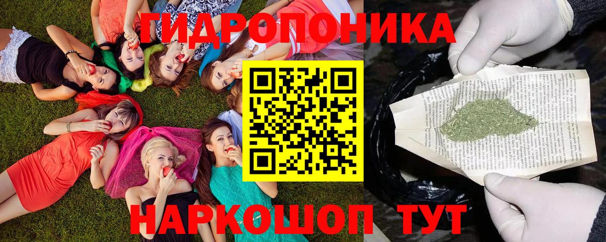 Марихуана семена  МАРИХУАНА конопля  Вход с VPN  Георгиевск  Каннабис ГИДРОПОН 